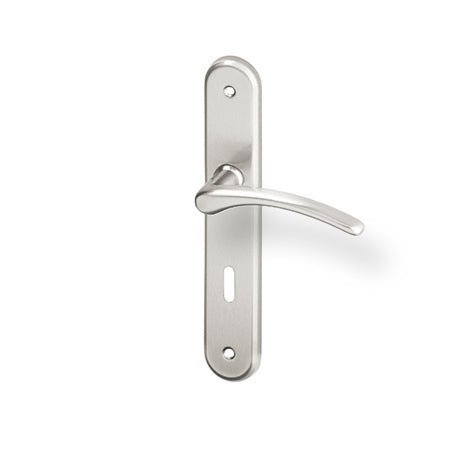 ACT Viola door  - Door Handle on a Backplate - nickel