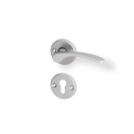 Viola - R silver, Door Handle on a Round Rose